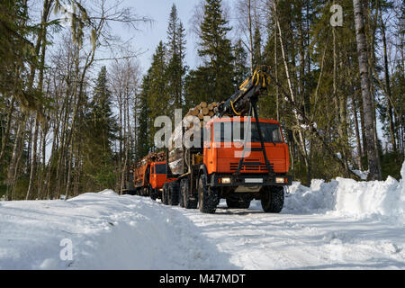 La foresterie. Des camions chargés de bois en hiver Banque D'Images