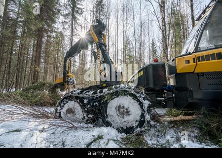 Les travaux forestiers. Image du journal moderne de travail du chargeur Banque D'Images