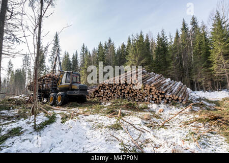 Image de camion chargement des grumes en forêt d'hiver Banque D'Images