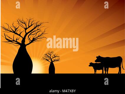 Boab arbres et deux vaches avec rayons orange en arrière-plan Illustration de Vecteur