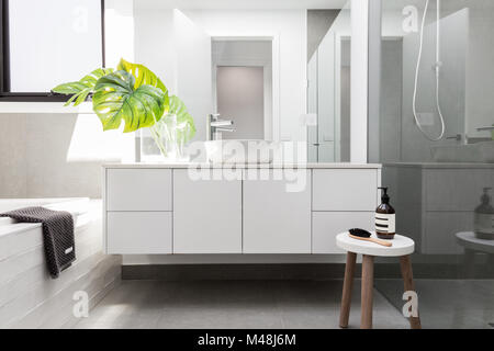 Salle de bains de luxe de style familial blanc avec espaces verts et un tabouret en bois Banque D'Images