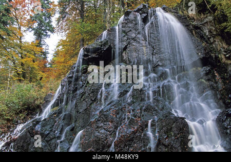 Dans Radau-Waterfall automne / Bad Harzburg - Niedersachsen Banque D'Images