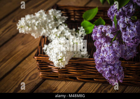 Avec la nature morte un bouquet de lilas, Close up Banque D'Images