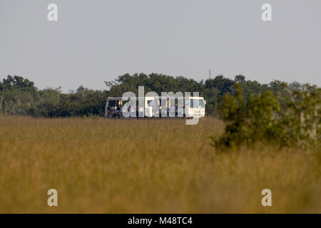 Shark Valley Tour Tram ., . Banque D'Images