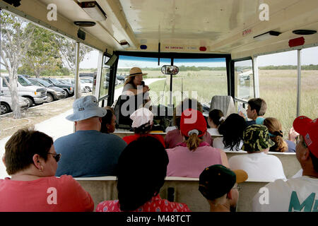 Shark Valley Tram Tour, . Banque D'Images