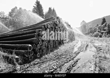 Maintenir humide pour conserver le bois noir et blanc Banque D'Images