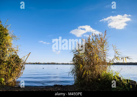 Daemeritzsee au lac, Berlin-Rahnsdorf, Allemagne Banque D'Images