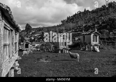 Le petit village de Paneda, dans le nord du Portugal Banque D'Images