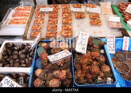 L'ananas de la mer (sea squirt ascidies) au célèbre marché aux poissons de Tsukiji à Tokyo, Japon. Fruits de mer frais. Banque D'Images