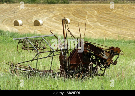 Safari Agricole au Château d'Arques, dans le sud de la France Banque D'Images