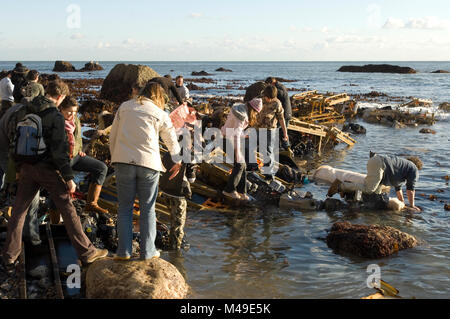 La plage de Branscombe, Devon, Angleterre. Les gens de récupération du contenu à partir de la terre et porte-conteneurs MSC Napoli échouée sur la plage. 23.01.07 Banque D'Images