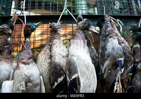 Les canards colverts sauvages morts pour la vente à Borough Market à Londres, Angleterre Banque D'Images