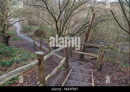 Marches en bois menant à Winterdown woodland dans la rivière Mole Valley à Esher, Surrey, Angleterre Banque D'Images