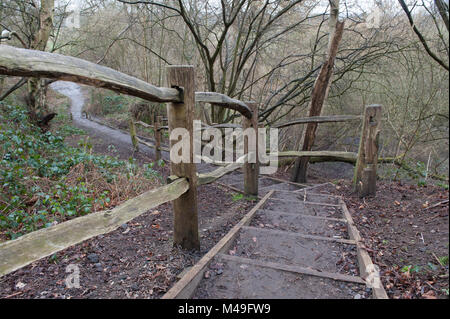 Marches en bois menant à Winterdown woodland dans la rivière Mole Valley à Esher, Surrey, Angleterre Banque D'Images