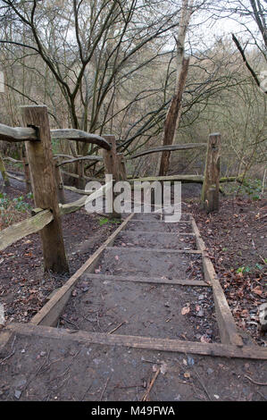 Marches en bois menant à Winterdown woodland dans la rivière Mole Valley à Esher, Surrey, Angleterre Banque D'Images