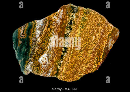 Spherulitic ou calcédoine orbiculaire, 'Ocean' Jasper, un cryptocrystaline quartz du Madagascar. Banque D'Images