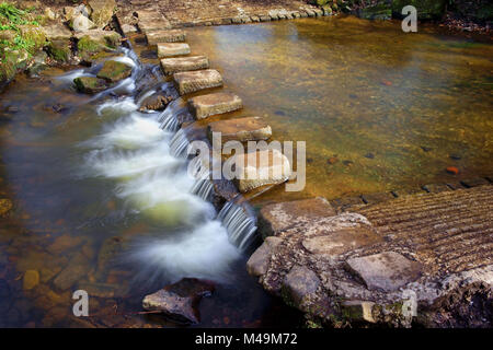 UK,South Yorkshire,Sheffield,Porter Brook Stepping Stones Banque D'Images