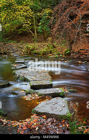 UK,South Yorkshire,Sheffield,Stepping Stones Rivelin Banque D'Images