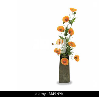 Fleur de pavot orange dans un pot isolated over white Banque D'Images