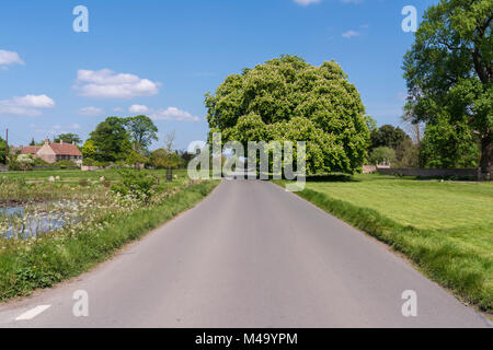 Vue vers le bas la plus longue du village anglais, en Vert Frampton sur Severn, Gloucestershire, Royaume-Uni Banque D'Images