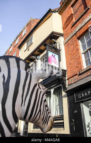 La Nags Head Pub et zèbres en tête Wyle Cop, Shrewsbury. Partie de 'Wild cop' à Shrewsbury. Banque D'Images