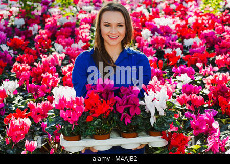 Fleuriste jardinier Smiling holding potted flowers Banque D'Images