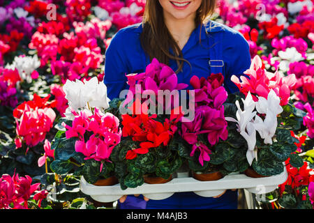 Fleuriste jardinier Smiling holding potted flowers Banque D'Images