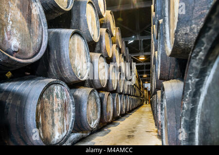 Beaucoup de tonneaux de vin de Porto à Vila Nova de Gaia, Portugal Banque D'Images