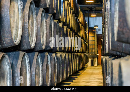 Beaucoup de tonneaux de vin de Porto à Vila Nova de Gaia, Portugal Banque D'Images