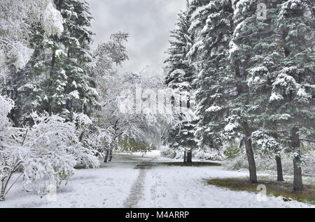 Paysage d'hiver ou à la fin de l'automne après la première chute de neige. Banque D'Images