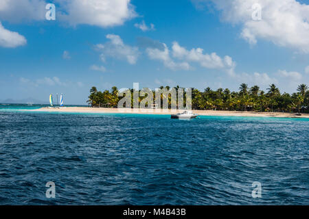 Catamarans sur une belle plage de sable blanc bordée de cocotiers sur Palm Island, îles Grenadines,St. Vincent et les Grenadines,Caraïbes Banque D'Images