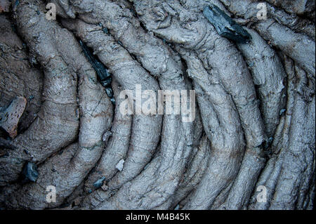 Lave froide après une éruption du volcan Tolbachik,Russie,Kamchatka Banque D'Images