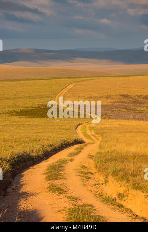Route poussiéreuse qui traverse le parc national Nyika,Malawi,Afrique Banque D'Images
