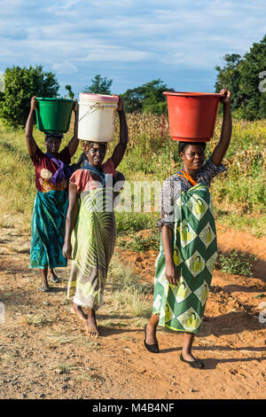 Les femmes locales transportant des seaux sur la tête,Malawi,Afrique Banque D'Images