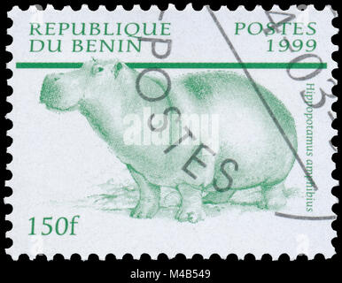 BUDAPEST, HONGRIE - 11 février 2017 ; Stamp imprimé au Bénin de la 'Mammals ' question démontre l'Hippopotame (Hippopotamus amphibius), vers 1999 Banque D'Images