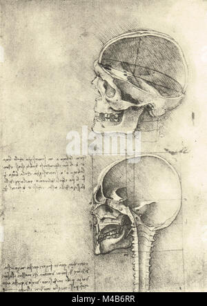 Dessin d'un crâne à gauche, l'étude anatomique du crâne, dessiné par Léonard de Vinci, vers 1489 Banque D'Images