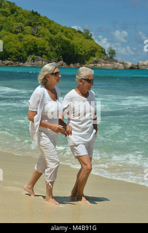 Vue arrière du vieux couple walking on beach Banque D'Images