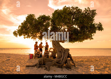 EAGLE BEACH, Aruba - Mars 15, 2017 : Coucher de soleil sur beau Eagle Beach Aruba avec les visiteurs et divi divi arbre en vue. Banque D'Images