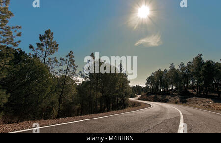 La route entre les arbres avec Sun Banque D'Images