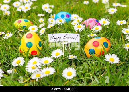 Les oeufs de Pâques peints dans l'herbe avec marguerites floraison Banque D'Images