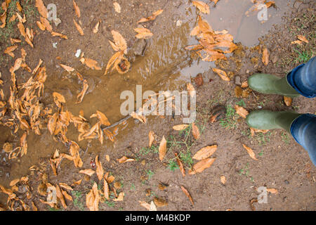 Une personne portant une paire de bottes en caoutchouc vert traditionnel dans une forêt. Automne pluvieux avec des feuilles sur le terrain. point de vue personnel Banque D'Images