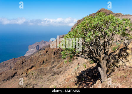 Sentier de montagne sur l'île La Gomera Banque D'Images