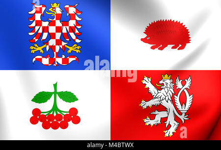 3D Drapeau de la région Vysocina, République tchèque. Banque D'Images