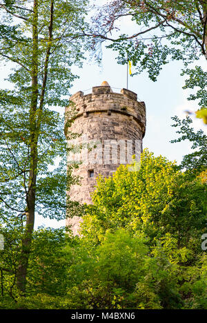 Château Greifenstein dans le bois 2 Banque D'Images