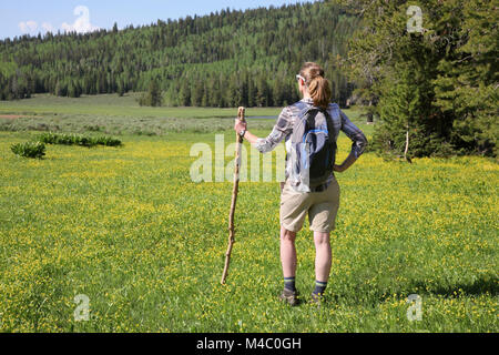 randonneur femelle debout dans la belle prairie de fleurs sauvages de derrière Banque D'Images