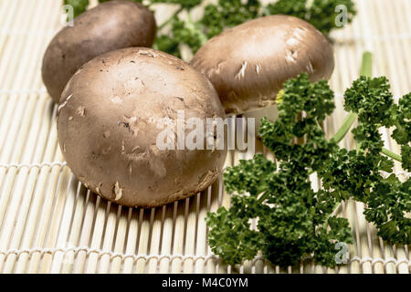 Faire revenir les champignons sur le bambou en persillade - Close up Banque D'Images