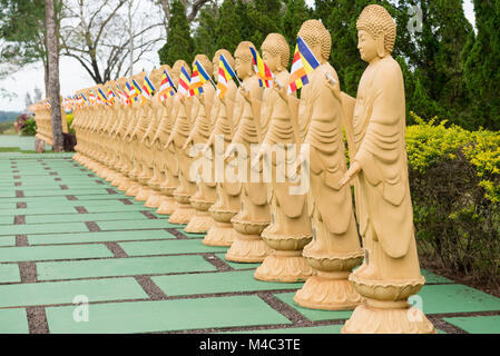 Plusieurs statues de Bouddha en perspective au temple bouddhiste Banque D'Images