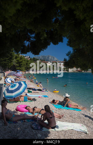 La plage de galets Podaca (Dalmatie - Croatie), en été. Le comté de Split-Dalmatie. Plage de galets de Podaca, en été (Dalmatie, Croatie). Podace. Banque D'Images