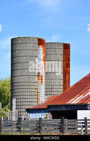 Deux silos sur une ferme dans la belle campagne du nord-ouest du Pacifique de Ferndale, Washington, USA. Banque D'Images