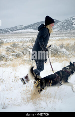 Une femme propriétaire essayant de suivre son chien husky romping dans la neige dans le désert de l'Utah. Banque D'Images